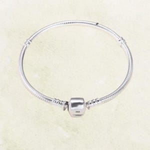 Pode incluir: Uma pulseira de prata com um pequeno berloque de prata. O berloque tem o número "925" gravado nele.