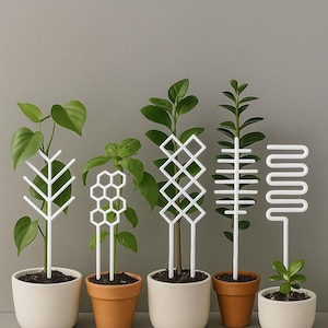 May include: Five potted plants with white trellis supports in various geometric designs. The plants are in beige and terracotta pots, set against a gray background. The trellis designs include a zig-zag, honeycomb, and diamond pattern.