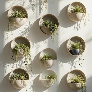 以下が含まれることがあります： さまざまな緑色の植物が入った、円形の壁掛けプランターのコレクション。 プランターは薄いベージュ色で、白い壁に格子状に配置されています。 長い茎が垂れ下がっている植物もあります。