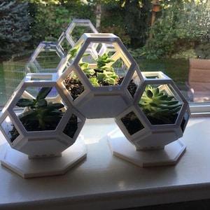 以下が含まれることがあります： ハニカムデザインの白い幾何学的なプランターで、いくつかの小さな多肉植物が入っています。 プランターは白いプラスチック製で、白い表面に置かれ、窓を通して自然な屋外の背景が見えます。