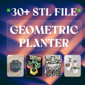 Pode incluir: Imagem com o texto "*30+ STL FILE*" e "GEOMETRIC PLANTER". A imagem mostra exemplos de vasos geométricos em várias formas e cores, incluindo preto, rosa, amarelo e branco. Os vasos contêm suculentas.