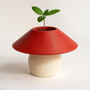 May include: A mushroom-shaped planter with a bright red top and a cream-colored base. A small green plant sprouts from the top. The planter is a decorative item for indoor use.