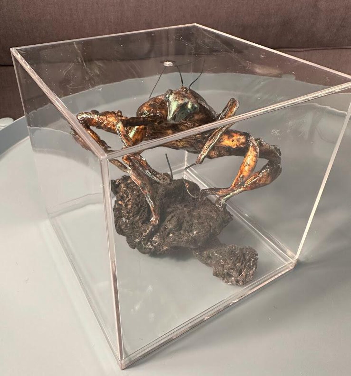 Iridescent Insect Bug Sculpture Display Piece Handmade - Etsy