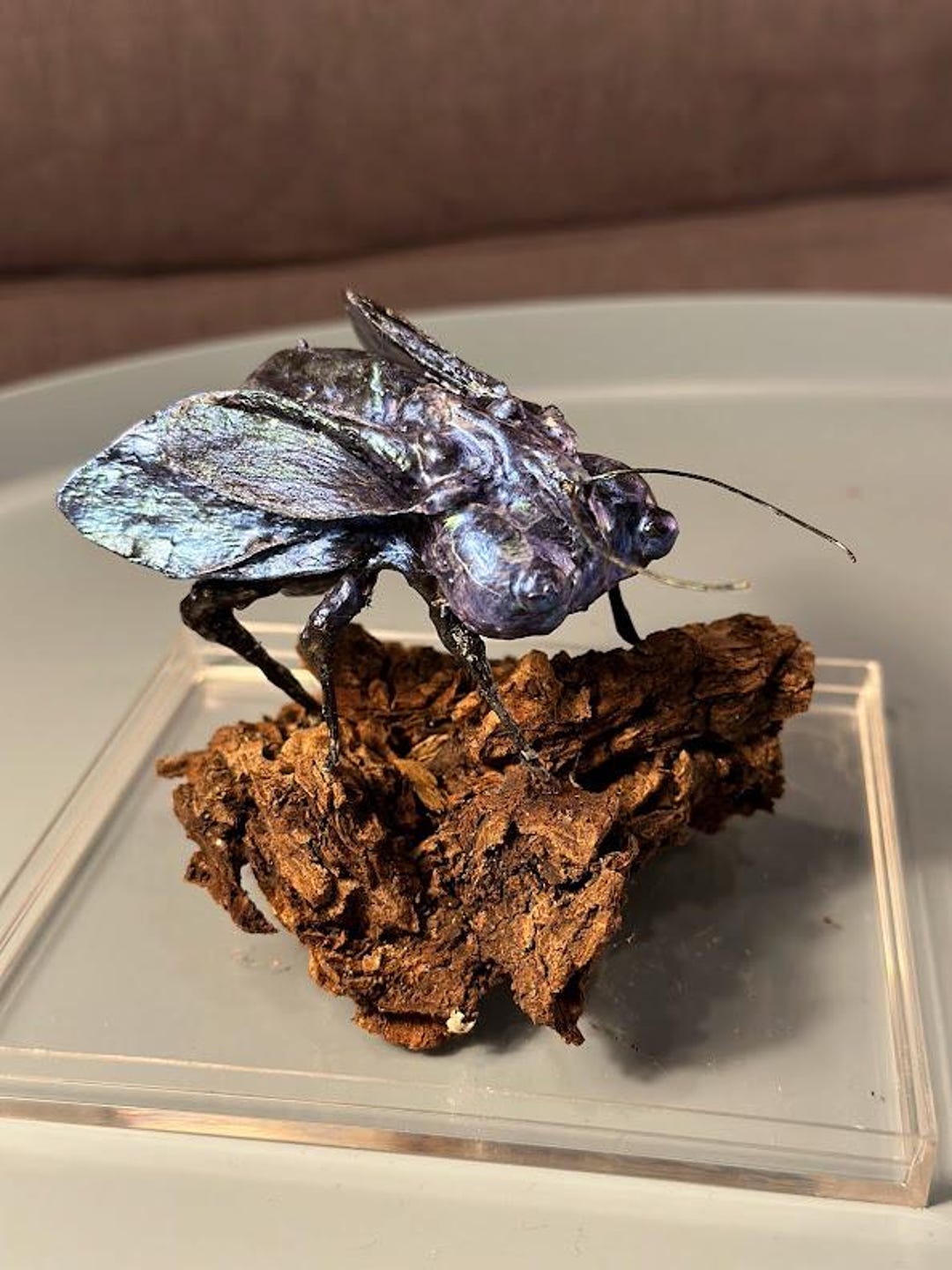 Iridescent Insect Bug Sculpture Display Piece Handmade - Etsy