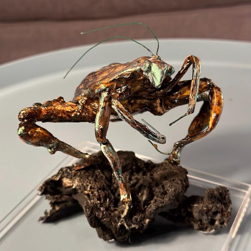 Insect Sculpture - Etsy UK