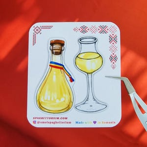 Romanian Food Cuisine Magnet | Palincă Bottle and Glass, Traditional Romanian Drink, Made in Romania, Kitchen Decor, Food Art, Romanian Flag