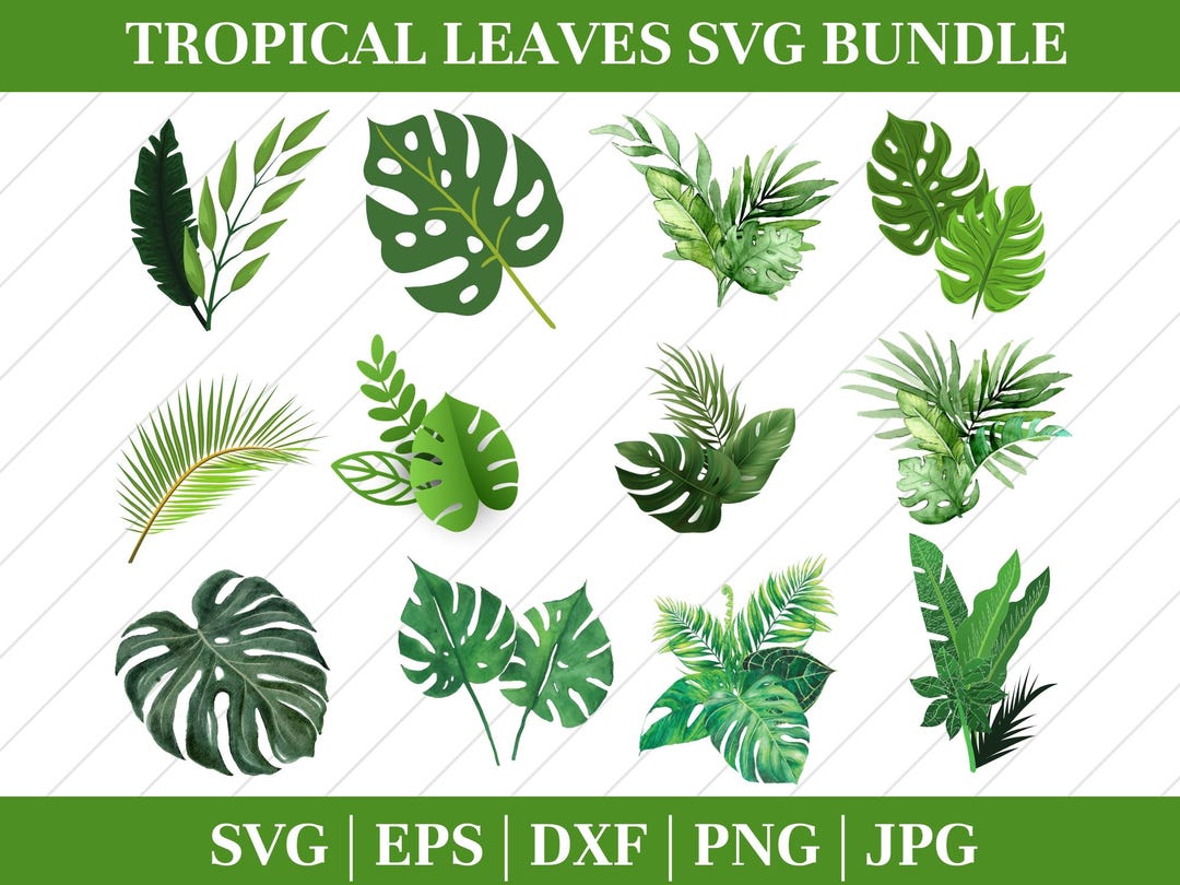 Tropical Leaves Svg Bundle, Monstera Leaf Svg, Jungle Leaves Clipart ...