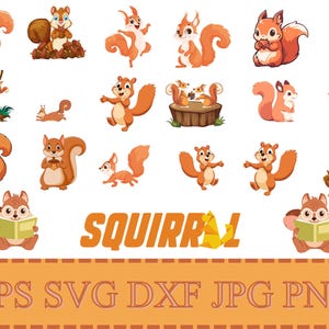 Bundle svg écureuil / écureuil des bois svg / svg animal de la forêt / animaux de la forêt silhouette svg / écureuil mignon ClipArt / écureuils drôles