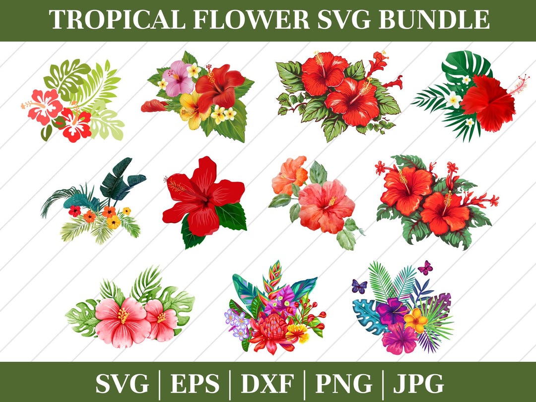 Hibiscus Svg, Tropical Flower Svg, Hawaiian Flower Svg, Flowers Svg ...
