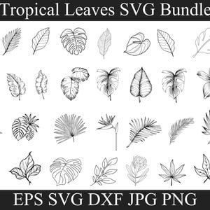 Tropical leaves svg bundle, monstera leaf svg, jungle leaves clipart, palm branch svg, Monstera Silhouette Svg, Tropical Leaves Svg Png file