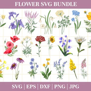 Botanical Svg Bundle Cut File, Floral,Flower leaf,leaves ,Botanical clipart hand drawn doodle style svg,png,eps, for cricut
