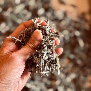 May include: A handful of dried sage leaves and stems with a pale, silvery-green color. The plant material appears brittle and textured, consisting of small, narrow leaves clustered along thin, woody stalks, held together in a loose, organic bunch.