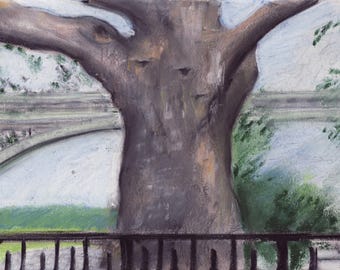 Inwood Hill Park - Tree - NYC - print of original pastel drawing - 8x10 inches