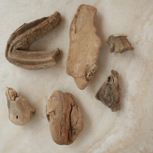 6 Small Freshwater Driftwood Pieces for Terrariums Aquariums Air Plants Amphibians Reptiles