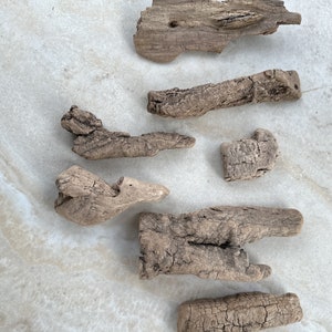 Driftwood Branches, Tumbled River Wood, Stick for Air Plants, Wood for Terariums