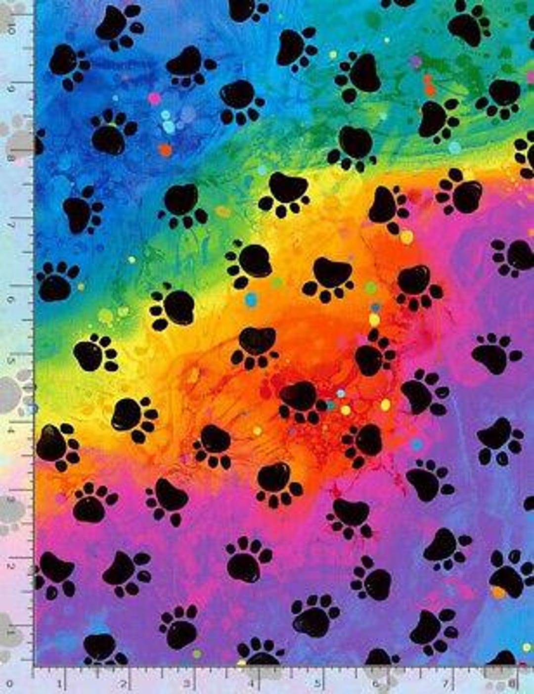 Kitten Paw Belt - Black main image 1