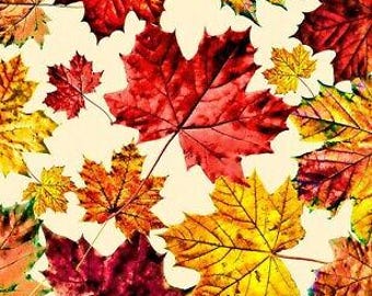 Fall Fabric - Autumn Maple Leaf Toss Cream - Timeless Treasures YARD