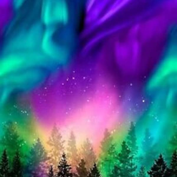 23" Fabric Panel - Timeless Treasures Aurora Borealis Space Forest Silhouette