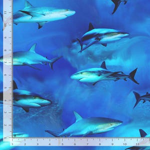 Animal Fabric | Nautical Deep Blue Sea Sharks | Timeless Treasures YARD