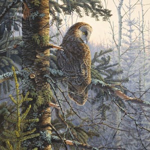 35&quot; Fabric Panel | David Textiles Digital Boreal Owl Forest Perch Scene