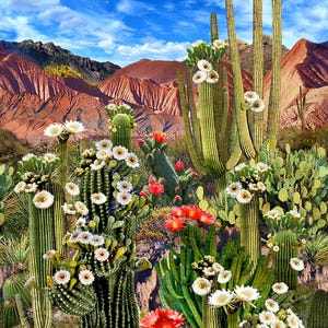 23&quot; Fabric Panel | Timeless Treasures Southwest Sunset Cactus Canyon Desert