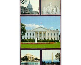 23" Fabric Panel - Benartex American Spirit Washington DC Landmark Blocks