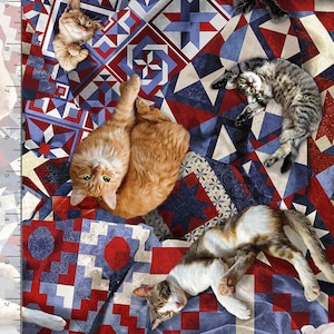 Cat Fabric | Cats on Patriotic Quilts | Timeless Treasures YARD