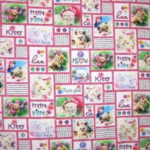 Animal Fabric - Kitty Cat & Word Patch Pink - Studio E YARD