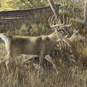 35&quot; Fabric Panel | David Textiles Digital Walking Around Barn Deer Field Scene