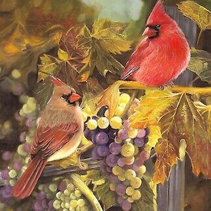 35&quot; Fabric Panel | David Textiles Digital Harvest Time Cardinal Grape Vineyard