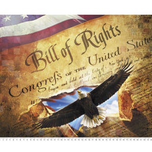 35&quot; Digital Fabric Panel - David Textiles Patriotic Bill of Rights Eagle Collage