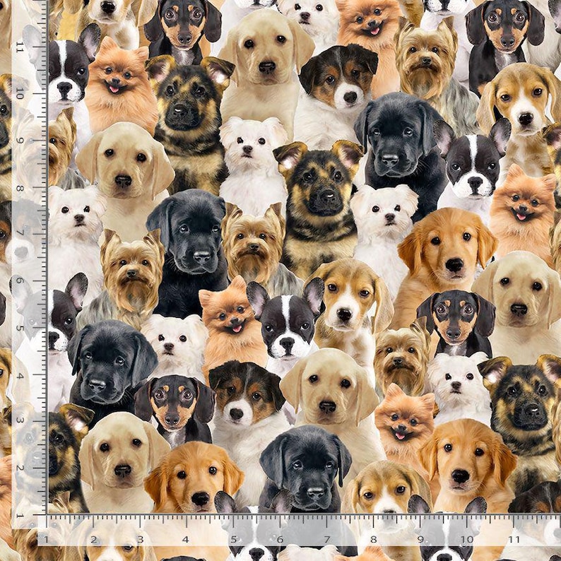 Animal Fabric | Packed Realistic Puppy Dog Multi | Timeless Treasures ...