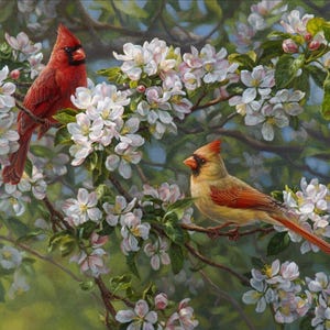 35&quot; Fabric Panel | David Textiles Digital Orchard Romance Cardinal Blossom Tree