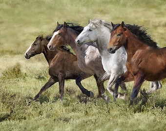 34" Fabric Panel | Hoffman Nature Galloping Wild Horse Scene Green