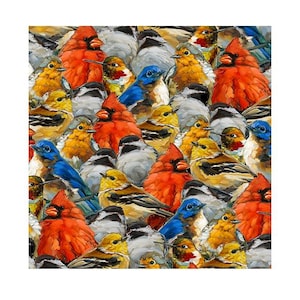 May include: An oil painting featuring a dense, overlapping collection of birds in vibrant colors. The composition includes bright red cardinals, blue birds, yellow warblers, and grey-toned birds, all rendered with visible, textured brushstrokes.