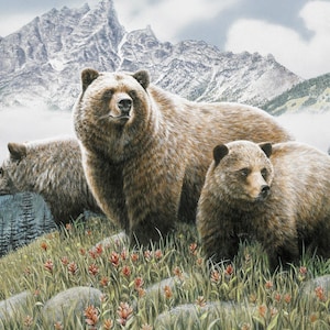 35&quot; Fabric Panel | David Textiles Digital Bears in Mountains Spring Meadow Scene