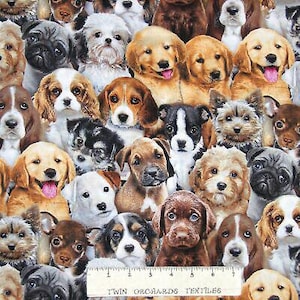 Dog Fabric - Adorable Pets Packed Puppy Puppies - Elizabeth's Studio YARD