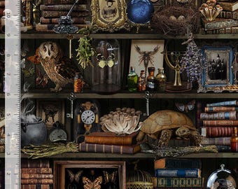 Halloween Fabric | Mad Scientist Witch Book Shelf | Timeless Treasures YARD