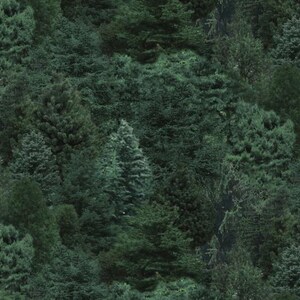 Landscape Medley Fabric | Packed Pine Tree Green | Elizabeth's Studio YARD
