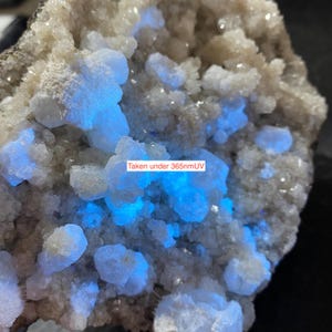 May include: A close-up of a mineral specimen with a rough, textured surface. The mineral is off-white with bright blue fluorescence. The text "Taken under 365nmUV" is visible.