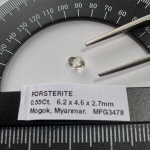 May include: A small, oval-shaped forsterite gemstone, held by tweezers, is displayed against a white background. The gem is light brown and measures 6.2mm x 4.6mm x 2.7mm. A label reads "FORSTERITE" and "0.55Ct."