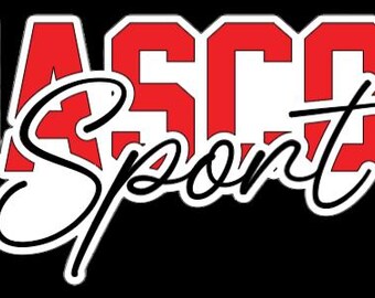 Car decals, vinyl, sports, high school, teams, mom, dad, kids, youth sports, mascot