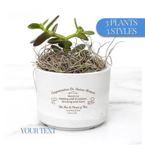 Personalized Mini Succulent Gift: Custom Etched Planter