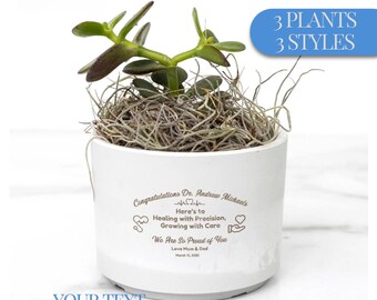 May include: White ceramic planter with a jade plant and a personalized message that reads "Congratulations Dr. Andrew Michaels Here's to Healing with Precision, Growing with Care We Are So Proud of You Love Mom & Dad March 15, 2025"