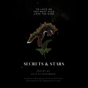 Secrets & Stars Ebook