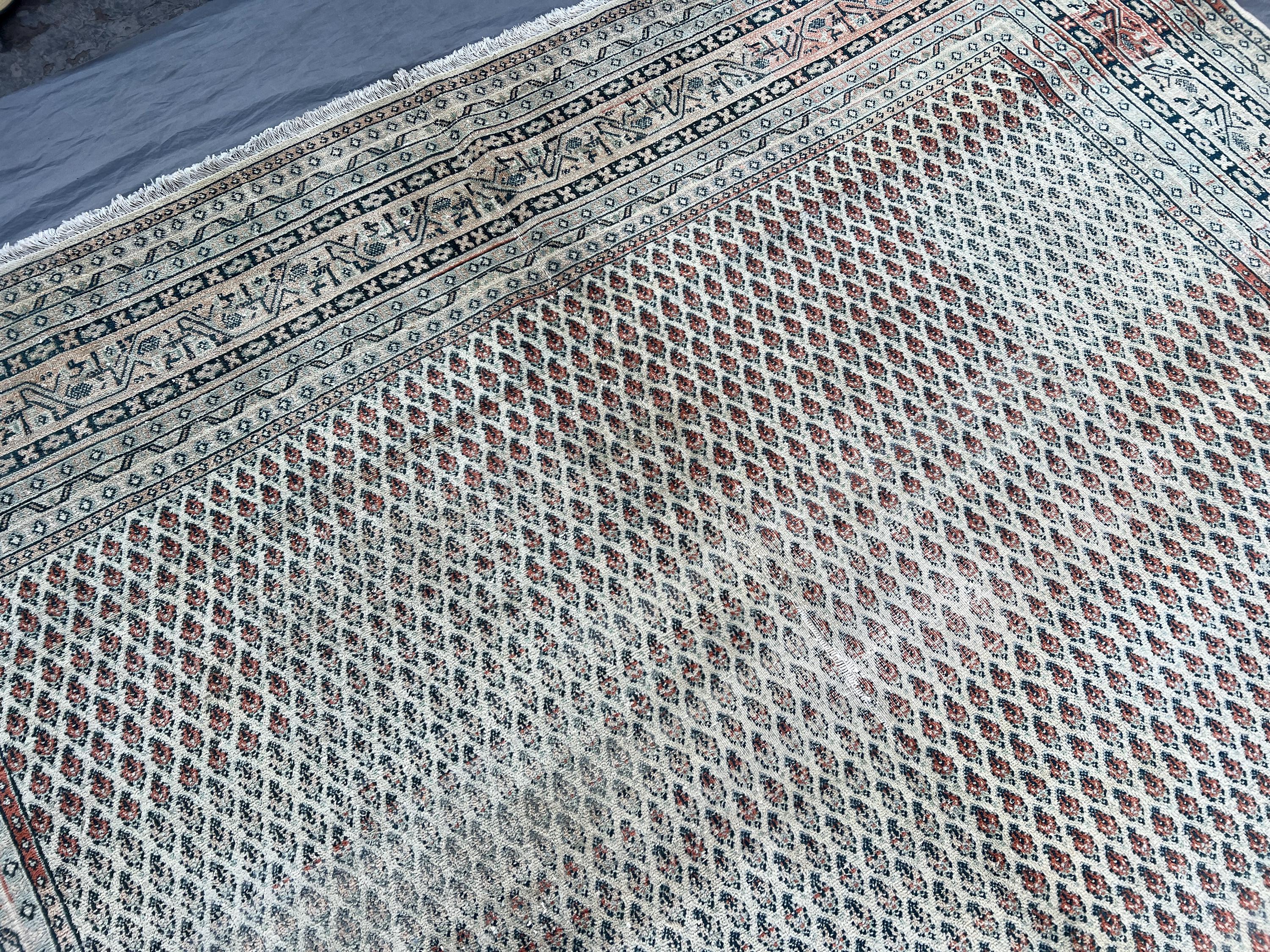 View 5