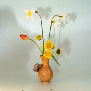 Hazel Vase for Dried Flowers |Rustic Wood Vase | Decorative Vase For Dried Flowers | Carved Minimalist Vase | Plant Accessories