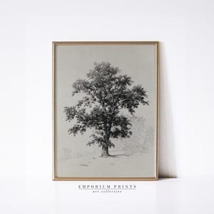 May include: A framed black and white print of a large tree with a full canopy. The artwork is in a gold-colored frame and features the text "EMPORIUM PRINTS art collective" at the bottom.