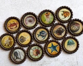 Nautical Bottlecap Magnets- Ocean Decor- Sea Life- Nautical, Ocean, Sea Gift- Beach Art- Fridge Magnets- Ocean Kitchen- Marine Life Magnets