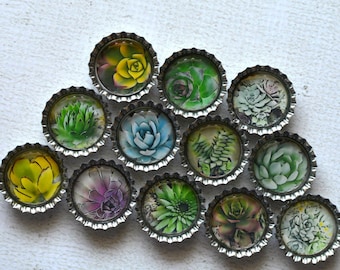 Succulent Cactus Bottlecap Magnets- Succulent Decor- Plant Decor- Kitchen Decor- Fridge Magnets- Succulent Party Favors- Garden Gift